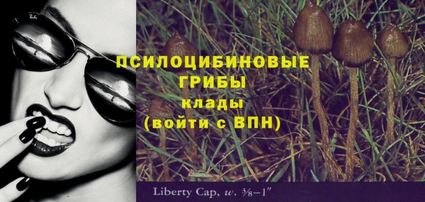 MESCALINE Иннополис