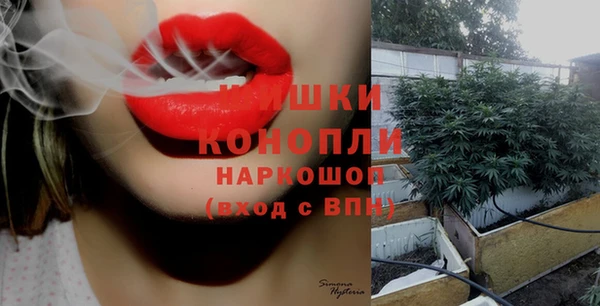 MESCALINE Иннополис
