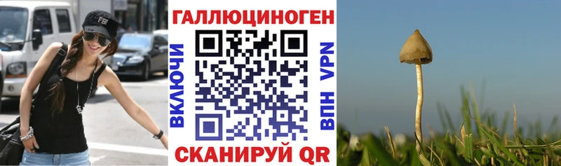 Купить закладки  Касли  Псилоцибиновые грибы ЛСД 